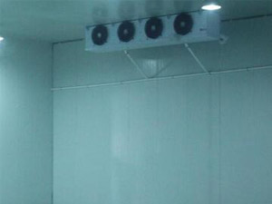 三個(gè)小技巧，輕松辨別真假冷庫(kù)安裝公司